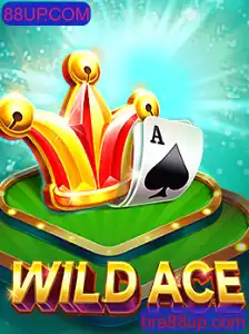 Explorando o Fascinante Mundo de WildAce: Seu Guia Completo